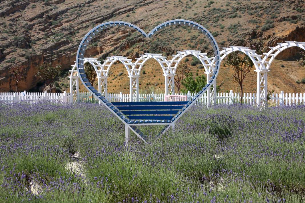 Renkleriyle büyülüyor, kokusuyla dinlendiriyor! Meram’da beklenen an geldi 6